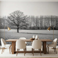 Wandbild „Morgenstimmung auf der nebligen Wiese“