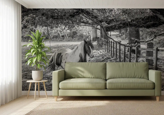 Pastoral Equine Monochrome Landscape Wall Mural