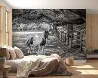 Fresque murale monochrome pastorale représentant un paysage équestre
