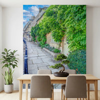 Fototapet mural cu potecă rustică din piatră și iederă cățărătoare pe perete
