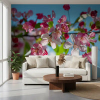 Panorama mural de branches fleuries roses sur fond bleu ciel
