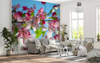 Panorama mural de branches fleuries roses sur fond bleu ciel