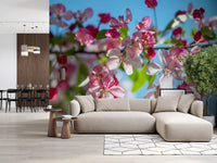 Panorama mural de branches fleuries roses sur fond bleu ciel
