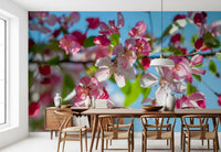 Panorama mural de branches fleuries roses sur fond bleu ciel