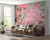 Papier peint panoramique Mosaïque abstraite de pétales roses