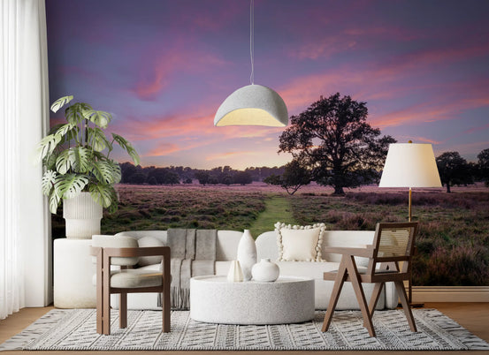 Panorama mural champ au crépuscule