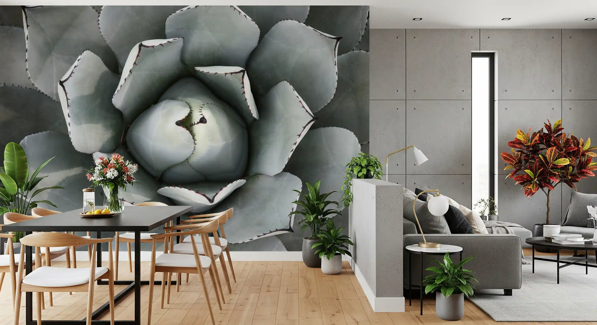 Agave rosette wallpaper in an open dining area with black table and wooden chairs GD13148