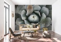 Sage gray succulent mural in a lounge with rattan loveseat and terracotta tile floor GD13148
