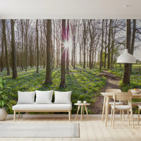 Wandgemälde „Waldmorgen-Sonnenlicht“