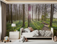 Wandgemälde „Waldmorgen-Sonnenlicht“