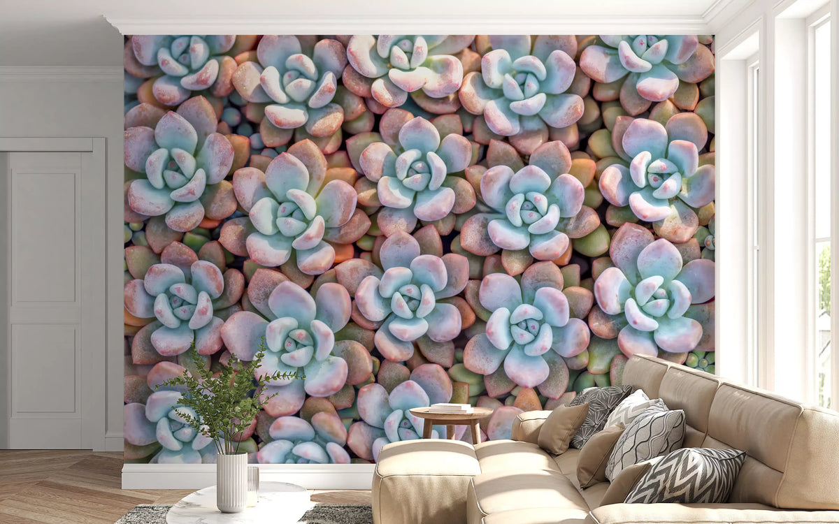 Vægmaleri med sukkulentmotiv fra Desert Bloom