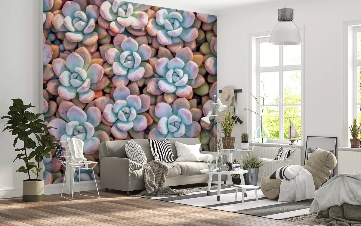 Vægmaleri med sukkulentmotiv fra Desert Bloom