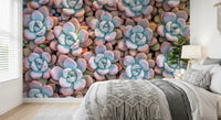 Vægmaleri med sukkulentmotiv fra Desert Bloom