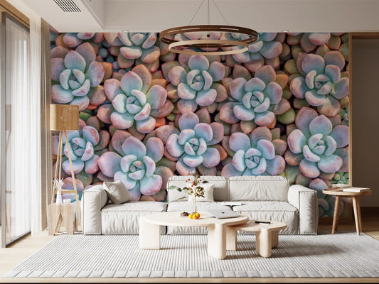 Desert Bloom Succulent Motif Wall Mural