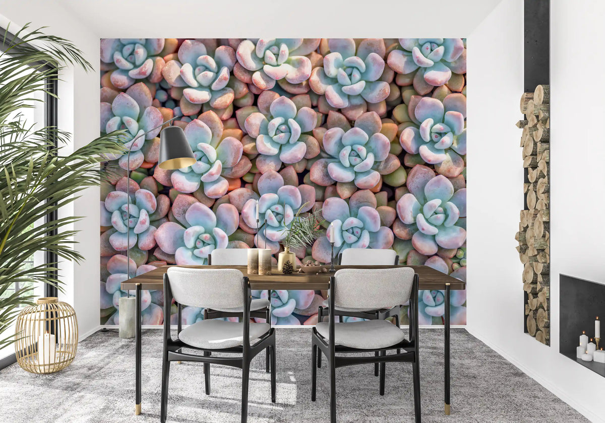 Vægmaleri med sukkulentmotiv fra Desert Bloom