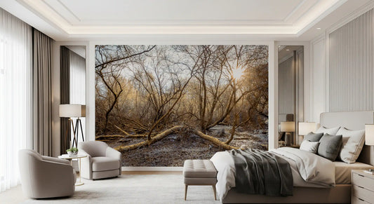 Sun-Drenched Wilderness Canopy Wall Mural