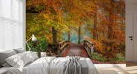 Mural panoramique mural « Passerelle sur un pont dans une forêt brumeuse »