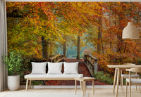 Mural panoramique mural « Passerelle sur un pont dans une forêt brumeuse »