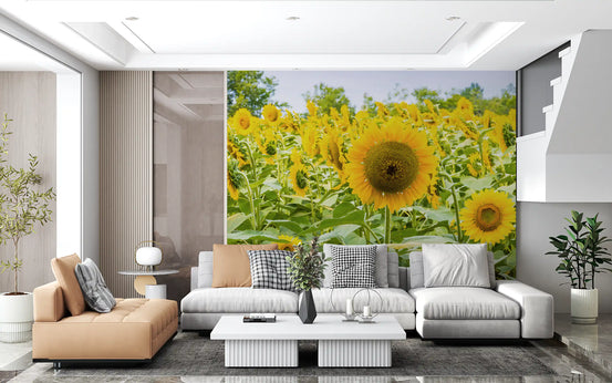Papier peint panoramique champ de tournesols dorés dans une prairie