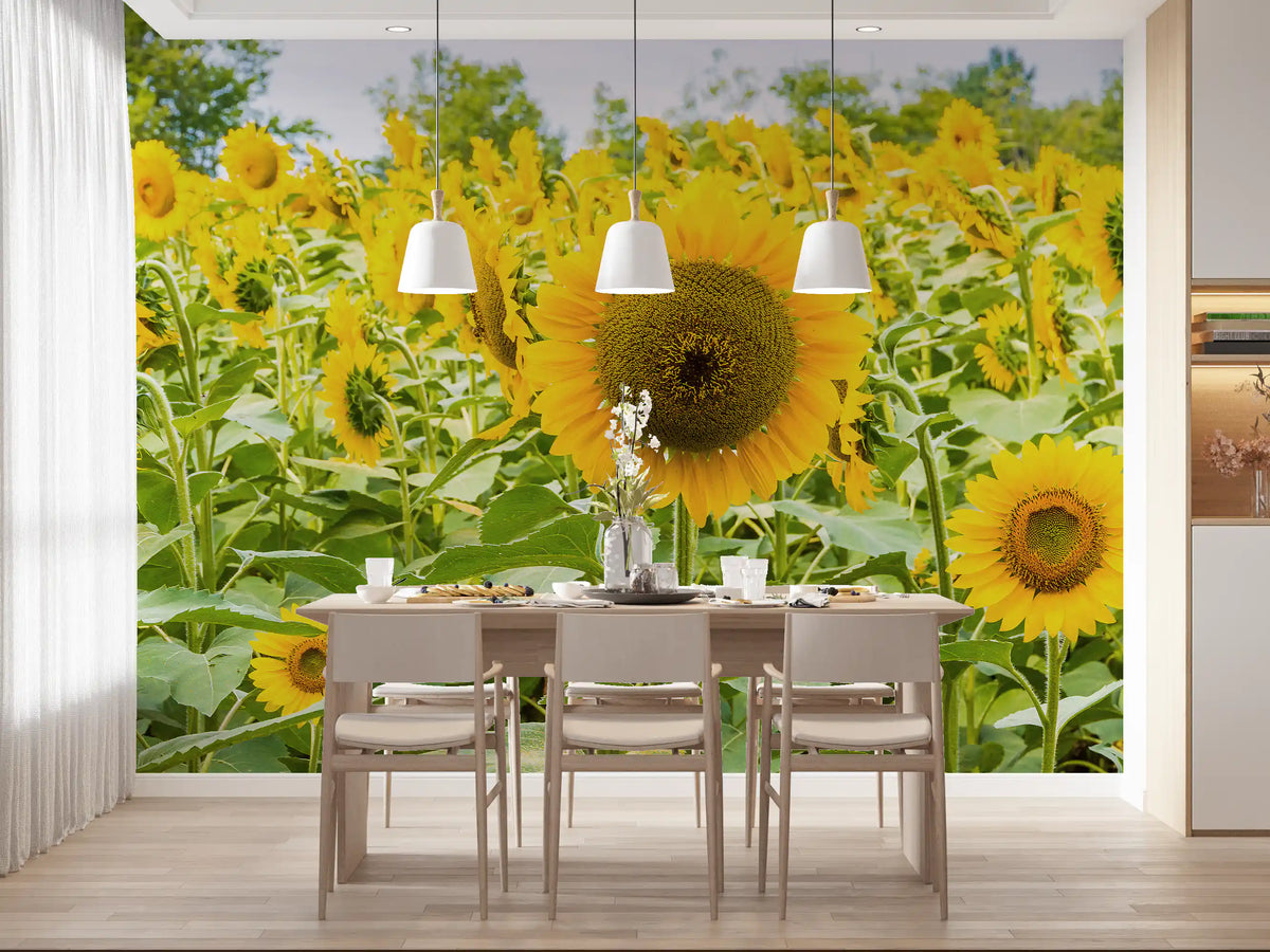 Papier peint panoramique champ de tournesols dorés dans une prairie