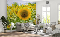 Papier peint panoramique champ de tournesols dorés dans une prairie