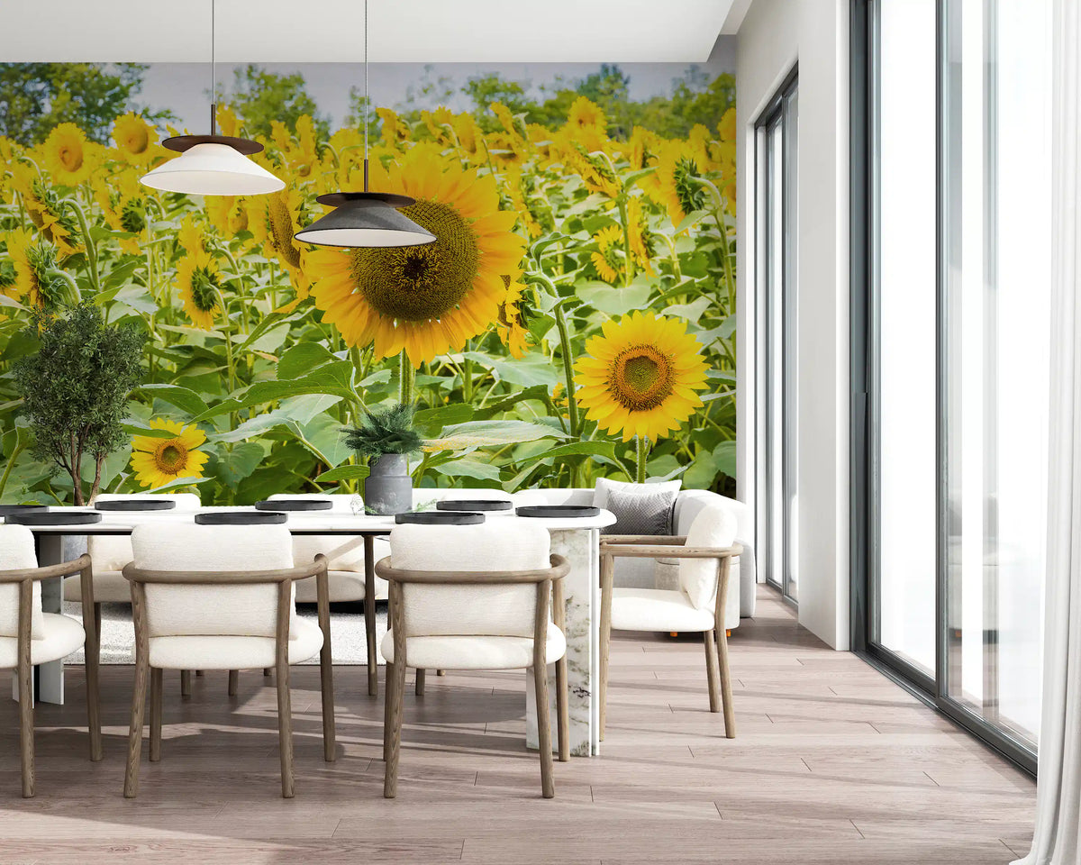 Papier peint panoramique champ de tournesols dorés dans une prairie