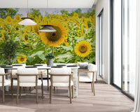 Papier peint panoramique champ de tournesols dorés dans une prairie