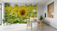 Papier peint panoramique champ de tournesols dorés dans une prairie