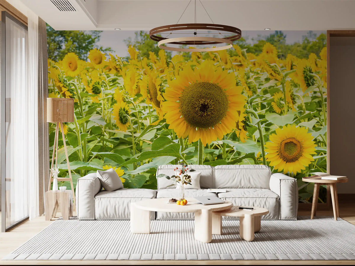 Papier peint panoramique champ de tournesols dorés dans une prairie