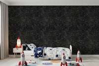 Eternal Star Atlas - Antracietkleurig behang⁠