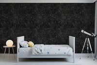Eternal Star Atlas - Antracietkleurig behang⁠