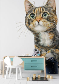 Wandbild „Neugierige Katze – Illustration“