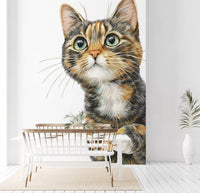 Wandbild „Neugierige Katze – Illustration“