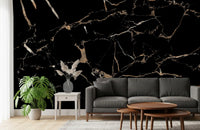 Midnight Marble Vein Wall Mural
