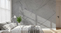 Murale da parete minimalista con venature di marmo grigio