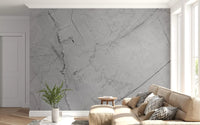 Murale da parete minimalista con venature di marmo grigio