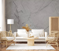 Murale da parete minimalista con venature di marmo grigio