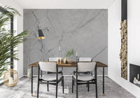 Murale da parete minimalista con venature di marmo grigio