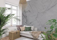 Murale da parete minimalista con venature di marmo grigio