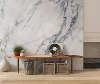 Wandbild mit klassischen weißen und grauen Marmoradern