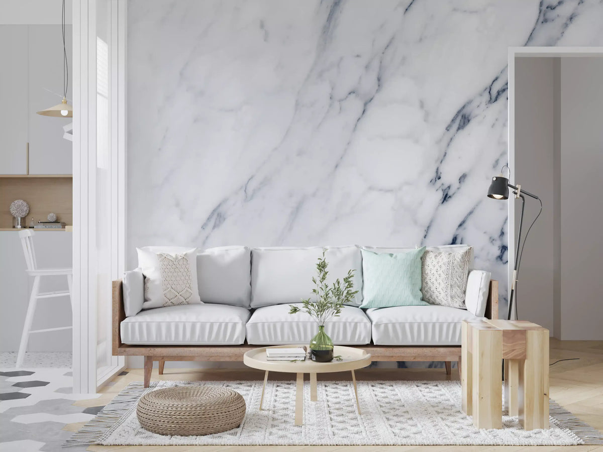 Classic Blue and White Marble Veining Wall Mural