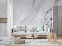 Classic Blue and White Marble Veining Wall Mural