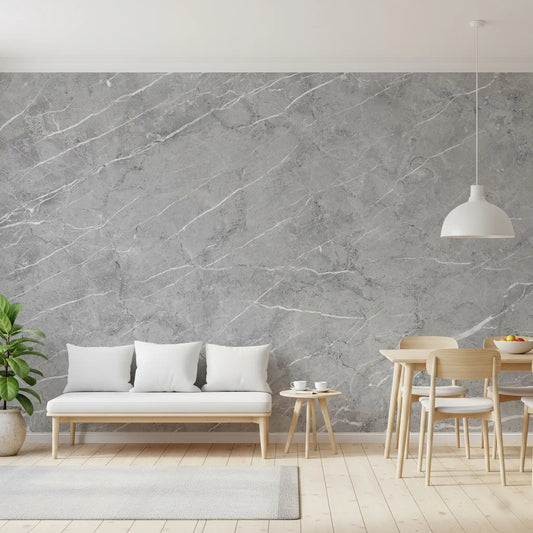 Minimalist Cool Grey Stone Texture Wall Mural
