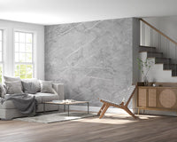 Minimalist Cool Grey Stone Texture Wall Mural