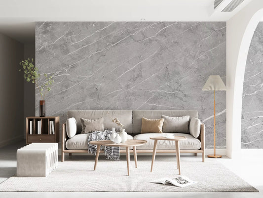 Minimalist Cool Grey Stone Texture Wall Mural