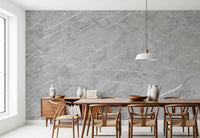 Minimalist Cool Grey Stone Texture Wall Mural