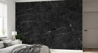 Dark Charcoal Veined Stone Texture Wall Mural