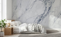 Classic Carrara Marble Vein Wall Mural