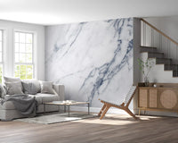 Classic Carrara Marble Vein Wall Mural