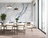 Classic Carrara Marble Vein Wall Mural